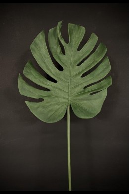 **NEW** TROPICAL LEAF [FF705190]